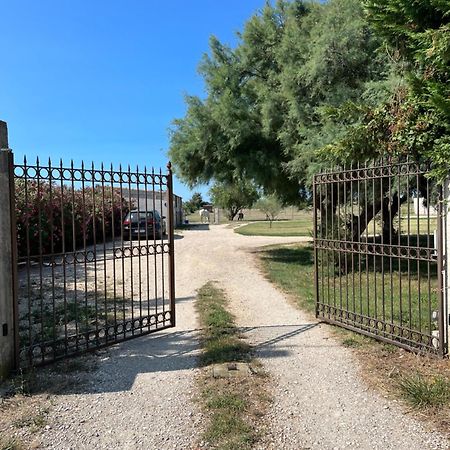« La Parenthese » Gite En Camargue Arles Luaran gambar