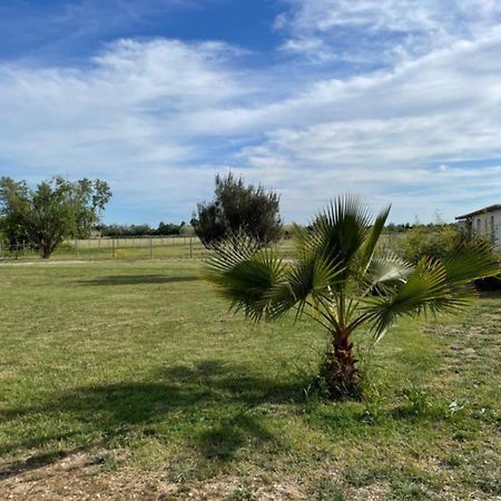 « La Parenthese » Gite En Camargue Arles Luaran gambar