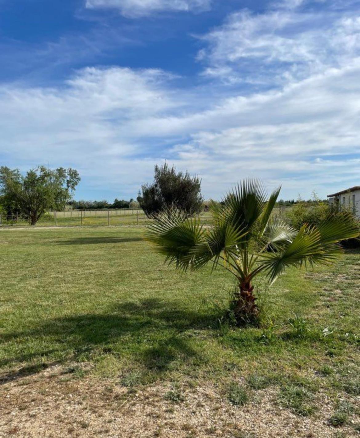 « La Parenthese » Gite En Camargue Arles Luaran gambar